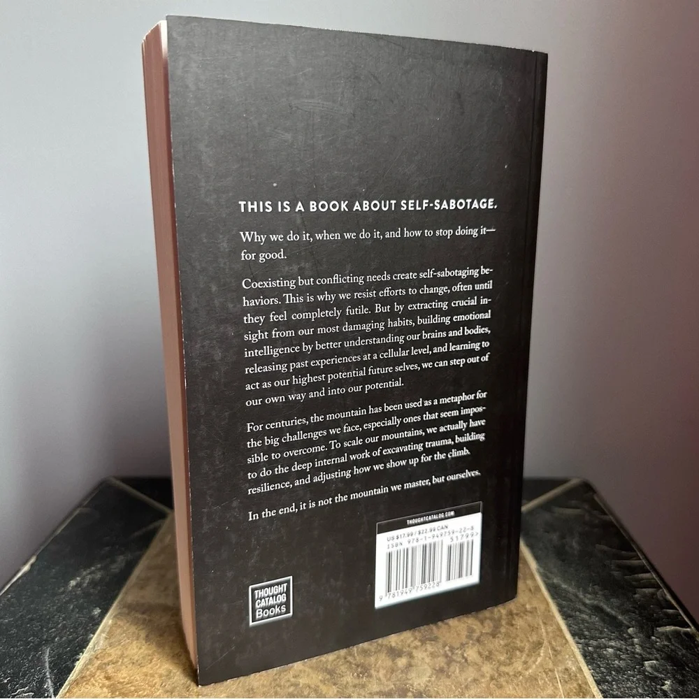 The Mountain Is You Book - Picture 2 of 3